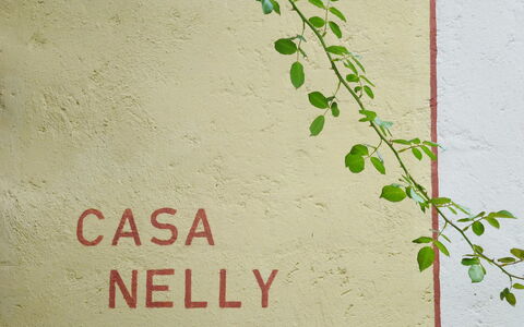 Nelly: Vert, Mur, Plante, Feuille, Police De Caractère, Arbre, Branche, Canoe Birch, Fleur