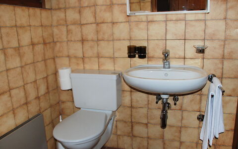 Breganzona 100: Salle De Bains, Toilette, Propriété, Luminaire Plomberie, Mur, Robinet, Pièce, Tuile, Siège De Toilette, Accessoire Salle De Bain