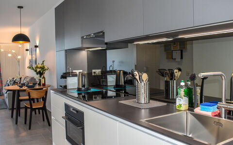 Aldesago 102: Evier, Comptoir, Cabinetry, Propriété, Évier, Cuisine, Robinet, Cuisinière, Électroménager, Appareil De Cuisine