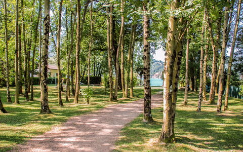 Caslano 100: Feuille, Arbre, Vert, Branche, La Nature, Herbe, Environnement Naturel, Bois, Végétation, Paysage Naturel