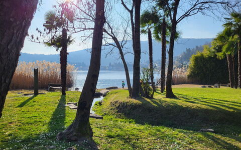 Caslano 100: Bleu, Vert, La Nature, Branche, Feuille, Herbe, Paysage Naturel, Été, Paysage, Tronc
