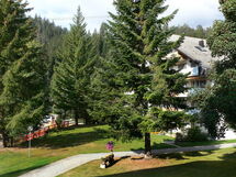 Laax 105