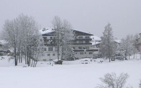 Apt. 13: Neige, L'Hiver, Blanc, Gelé, Arbre, Atmospherique Phénomène, Domicile, Blizzard, Maison