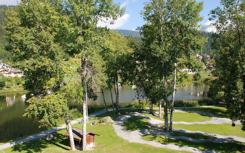 Apt. 13: Arbre, Propriété, Herbe, Maison, Immobilier, Suppression Des Plantes Ligneuses, Domicile, Pelouse, Plante, Ciel