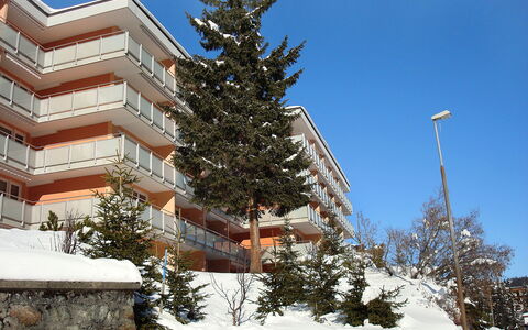 Arosa 100: Ciel, Plante, Bâtiment, Neige, Branche, Mélèze, Arbre, À Feuilles Persistantes, Design Urbain