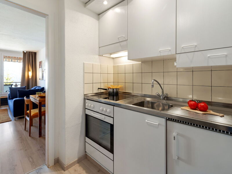 Logement:&nbsp;Promenade Apt 407 100.59
