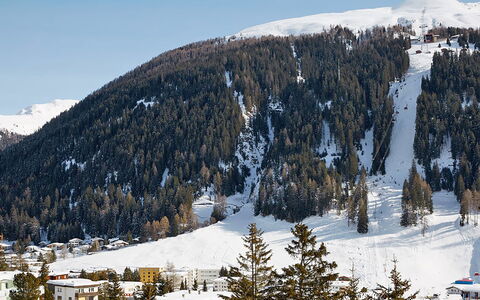 Davos 400: Neige, Montagne, Montagnes Relief, L'Hiver, Station De Montagne, Chaîne De Montagnes, Géologique Phénomène, Région Sauvage, Arbre, Alpes