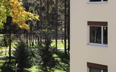 Davos 330: Plante, Propriété, Fenêtre, Bâtiment, Ombre, Arbre, Quartier, Zone Résidentielle, Immobilier