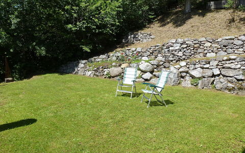 Deli: Pelouse, Herbe, Famille Grass, Cour, Lot Terre, Jardin, Prairie, Arbre, Arbuste, Aménagement Paysager