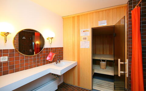 Pontresina 170: Miroir, Bois, Orange, Design Intérieur, Sol, Sol, Bâtiment, Salle, Luminaire Plomberie, Confort