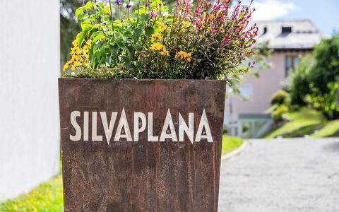 Silvaplana-Surlej 30: Jardin, Plante Herbacée, Aménagement Paysager, Pot De Fleur, Plante D'Appartement, Floristique, Art Floral
