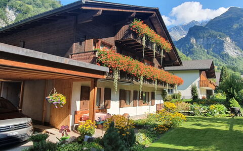 Untertal: Plante, Ciel, Bâtiment, Propriété, Fleur, Fenêtre, Montagne, Arbre, Maison, Nuage