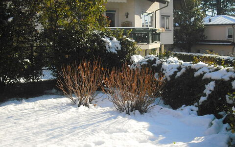 Villa Esperia: Neige, L'Hiver, Domicile, Propriété, Gelé, Maison, Arbre, Cour, Immobilier, Herbe