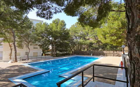 Salou 350: L'Eau, Plante, Piscine, Arbre, Ombre, Mobilier De Jardin, Rectangle, Loisir, Composite, Paysage