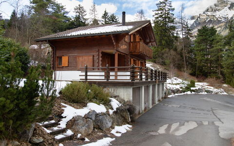 Escapade: Arbre, Bois, Maison, Domicile, Chalet, Mélèze, Pente, Cabane En Rondins, Gelé, Neige