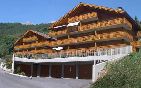 Ovronnaz 700: Ciel, Plante, Bâtiment, Bois, Arbre, Pente, Immobilier, Façade, Loisir, Paysage