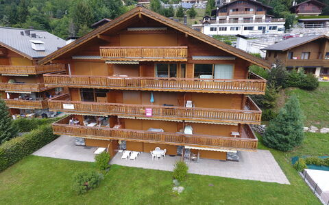 Ovronnaz 700: Plante, Bâtiment, Fenêtre, Bois, Arbre, Lot Terre, Design Urbain, Maison, Loisir, Herbe