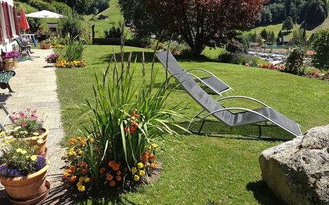 Grindelwald 255: Plante, Fleur, Communauté Des Plantes, Arbre, Botanique, Feuille, Pot De Fleur, Herbe, Mobilier De Jardin, Biome
