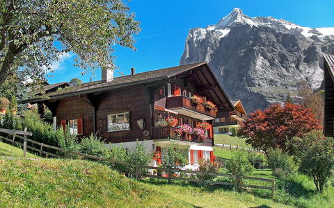 Grindelwald 255: Plante, Ciel, Bâtiment, Montagne, Paysage Naturel, Arbre, Montagnes, Lot Terre, Maison, Fenêtre