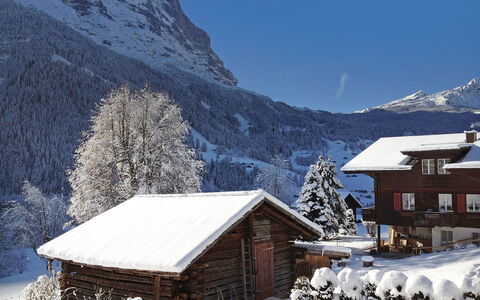 Grindelwald 255: Ciel, Neige, Montagne, Propriété, Bâtiment, La Nature, Pente, Arbre, Maison, Fenêtre