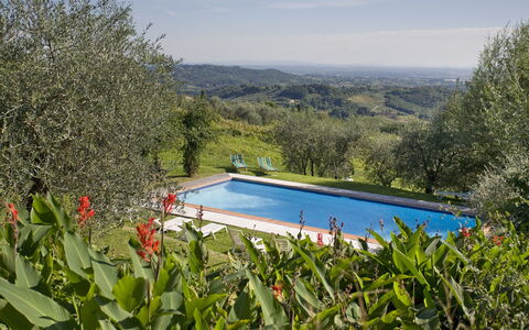 La Loggia 13: Propriété, Piscine, Maison, Immobilier, Herbe, Arbre, Villa, Zone Rurale, Bâtiment, Paysage