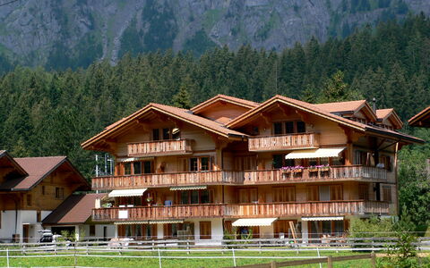 Studio Schweizerhof: Plante, Bâtiment, Propriété, Montagne, Arbre, Paysage Naturel, Bois, Lot Terre, Maison, Loisir