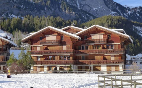 Studio Schweizerhof: Montagne, Neige, Bâtiment, Ciel, Plante, La Nature, Maison, Fenêtre, Arbre, Bois
