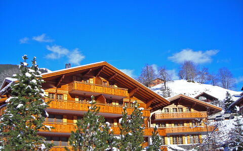 Grindelwald 260: Ciel, Nuage, Bâtiment, Fenêtre, Neige, Bleu, Maison, Branche, Arbre, Pente