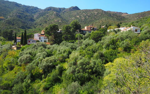 La Rectoria Ii: Ciel, Montagne, Plante, Communauté Des Plantes, Paysage Naturel, Arbre, Lot Terre, Montagnes, Paysage, Couverture De Sol