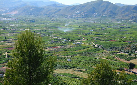 Grand Lusianna: Montagnes Relief, Montagnes, Montagne, Station De Montagne, Végétation, Région Sauvage, Colline, Chaîne De Montagnes, Réserve Naturelle, Arbre