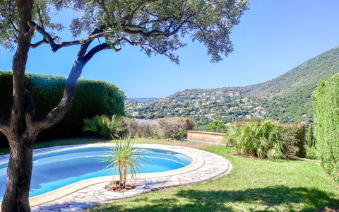 Le Cap: Plante, Ciel, L'Eau, Propriété, Communauté Des Plantes, Paysage Naturel, Arbre, Bleu Azur, Végétation, Ombre