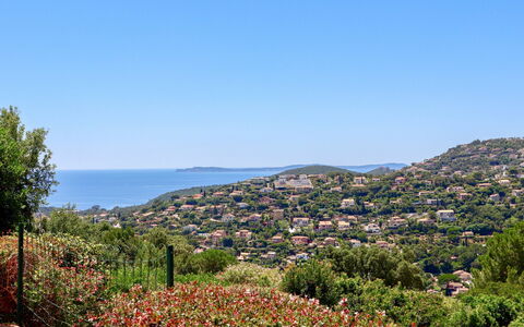 Le Cap: Fleur, Ciel, Plante, Paysage Naturel, Arbre, Végétation, Montagne, L'Eau, Paysage, Horizon