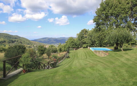 Greve in Chianti 840: Nuage, Ciel, Plante, Montagne, Paysage Naturel, Arbre, Lot Terre, Herbe, Paysage, Prairie