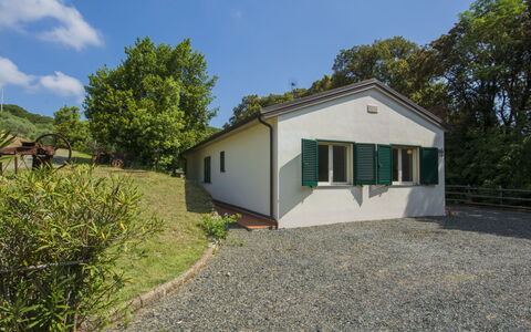 Podere Gli Olivi: Propriété, Maison, Immobilier, Domicile, Lot Terre, Bâtiment, Chalet, Arbre, Zone Rurale, Biens