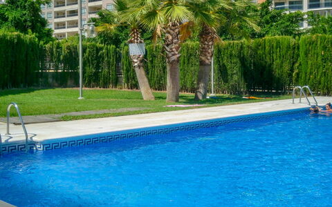 Sidney: L'Eau, Plante, Bâtiment, Propriété, Fenêtre, Piscine, Vert, Bleu Azur, Arbre, Loisir