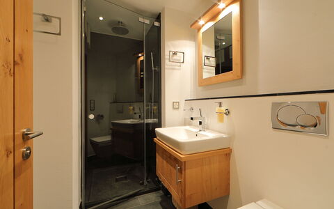 Zermatt 470: Salle De Bains, Pièce, Propriété, Armoire De Toilette, Luminaire Plomberie, Évier, Design Intérieur, Accessoire Salle De Bain, Meubles, Éclairage