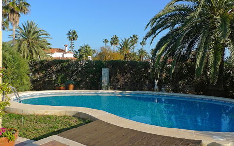 El Paradiso: Piscine, Propriété, Immobilier, Domicile, Maison, Vacances, Arrière-Cour, Palmier, Arbre, Recours