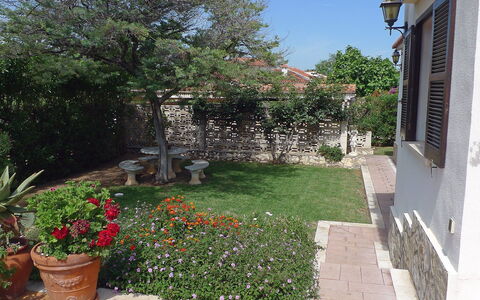El Paradiso: Propriété, Cour, Jardin, Maison, Immobilier, Arrière-Cour, Domicile, Zone Résidentielle, Bâtiment, Paysage