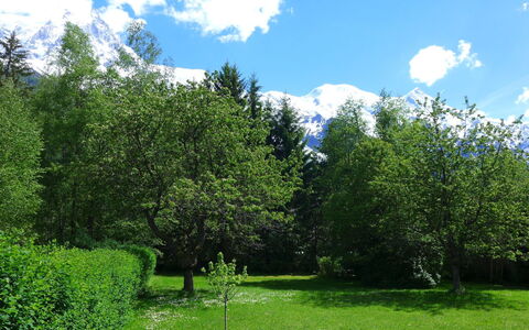 Maison Novel: Nuage, Plante, Ciel, Communauté Des Plantes, Vert, Paysage Naturel, Arbre, Lot Terre, Montagnes, Ombre