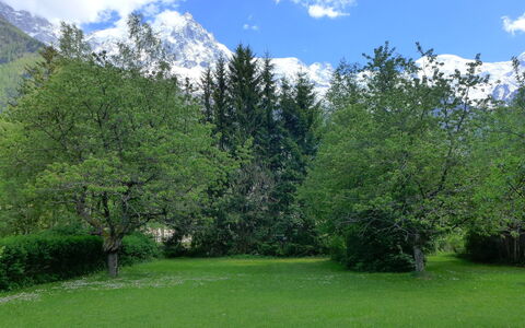 Maison Novel: Nuage, Ciel, Plante, Écorégion, Vert, Montagne, Paysage Naturel, Mélèze, Arbre, Herbe
