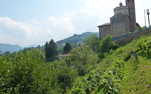 Al Ronchetto: Végétation, Château, Station De Montagne, Colline, Arbre, Montagnes, Montagne, Tourisme, Bâtiment