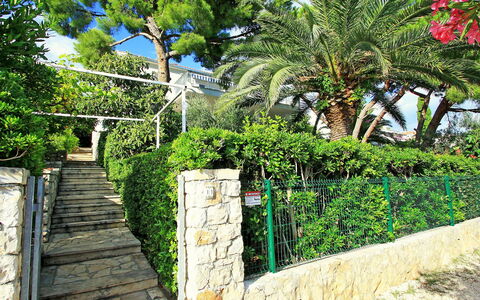 Amiela: Végétation, Propriété, Arbre, Mur, Passerelle, Botanique, Immobilier, Jardin, Plante, Maison