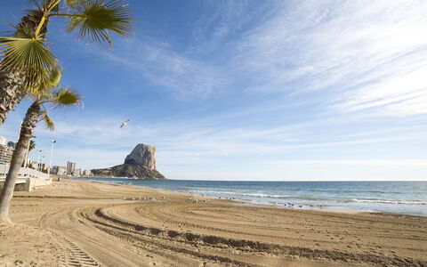 Arenal 03: Plage, Ciel, Mer, Rive, Arbre, Côte, Palmier, Océan, Le Sable, Cotiers Et Relief Océaniques
