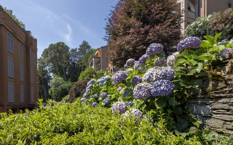 Residenza del Pascià: Vert, Feuille, Végétation, Arbuste, Communauté Des Plantes, Jardin, Couverture De Sol, Printemps, Aménagement Paysager, Condominium