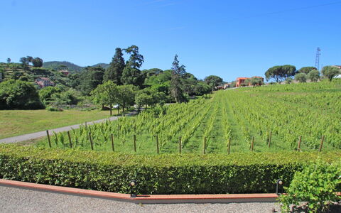 Sestri Levante 200: Ciel, Plantation, Arbuste, Région Sauvage, Montagnes, Station De Montagne, Jardin, Botanique, Herbe, Lot Terre