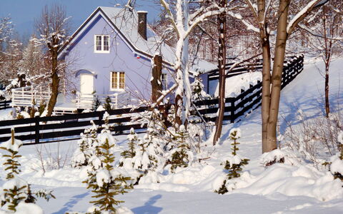 Niebieski: Bâtiment, Neige, Plante, Fenêtre, Ciel, Brindille, Maison, Branche, Paysage Naturel, Architecture