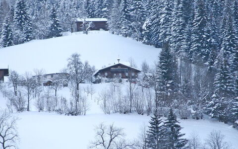 Oberhaslach: Neige, L'Hiver, Arbre, Gelé, Atmospherique Phénomène, Gel, Station De Montagne, Domicile, Géologique Phénomène