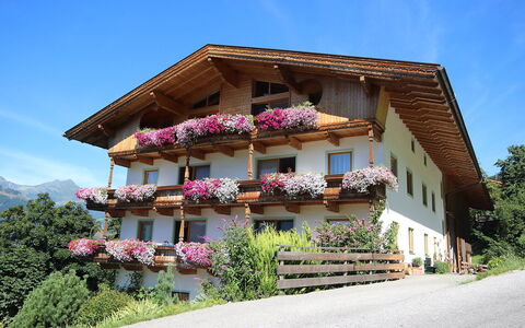 Kaltenbach 610: Plante, Ciel, Bâtiment, Fenêtre, Fleur, Arbre, Maison, Bois, Façade, Paysage