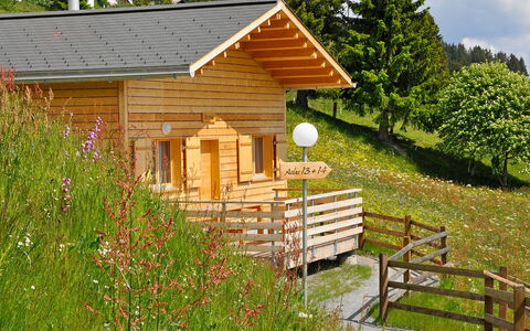 Maiensäss Komfort: Plante, Fleur, Bâtiment, Ciel, Nuage, Fenêtre, Arbre, Bois, Feuille, Paysage Naturel