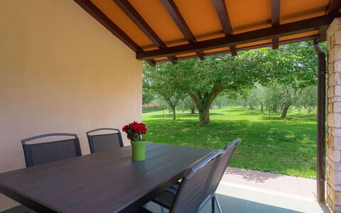 Licia: Table, Plante, Meubles, Propriété, Fleur, Pot De Fleur, Bâtiment, Chaise, Bois, Plante D'Appartement
